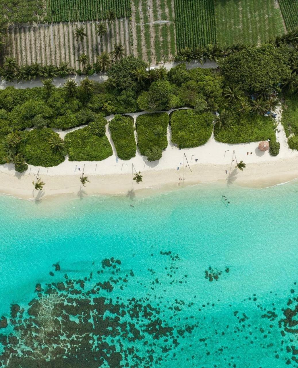 Sands Garden Hotel Thoddoo-Atoll Exterior foto