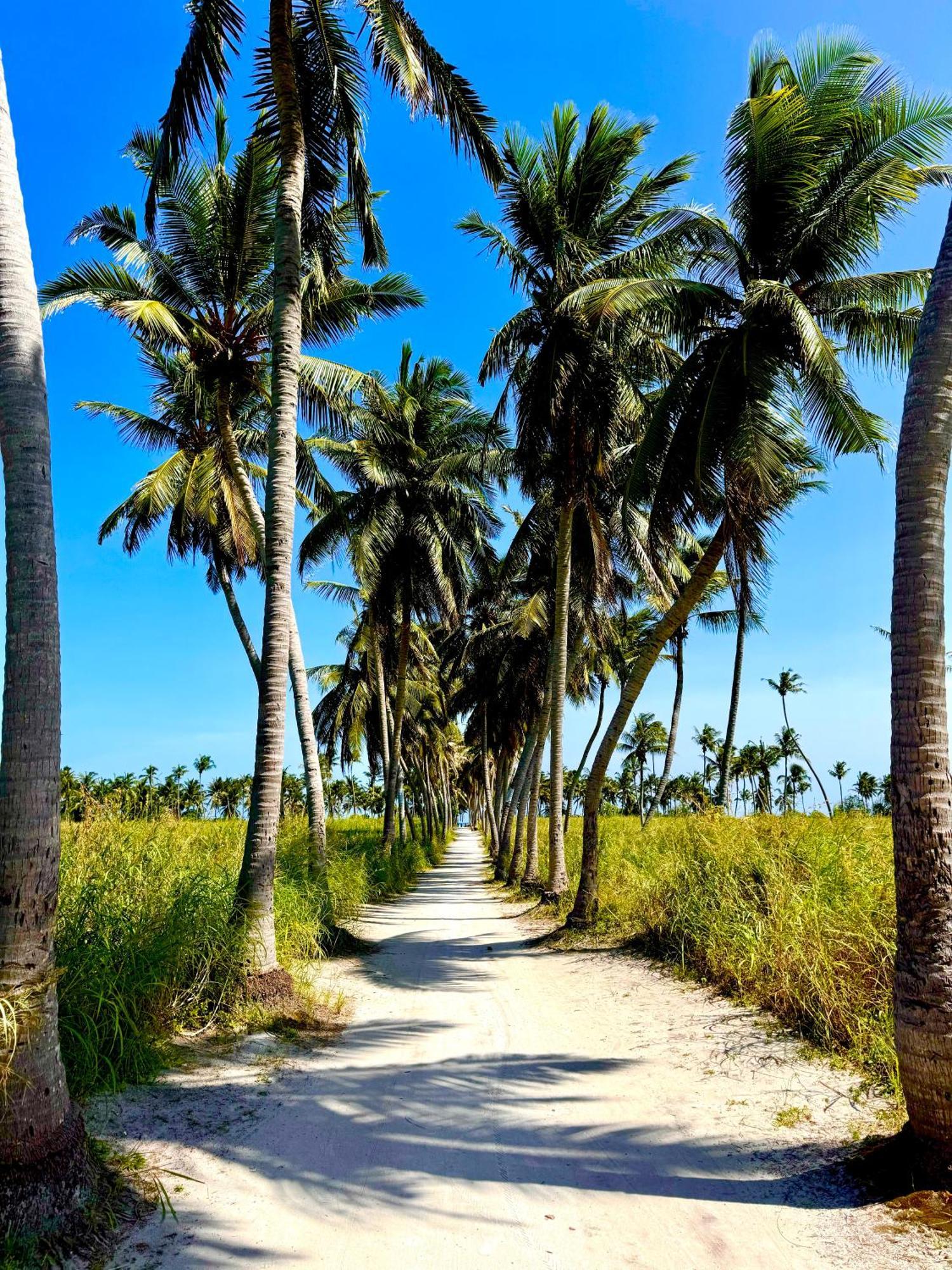 Sands Garden Hotel Thoddoo-Atoll Exterior foto